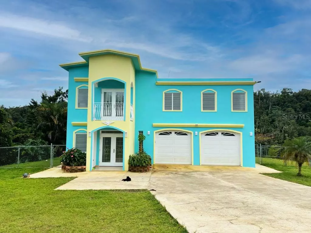 Orocovis, PR 00720,CARR 157 KM 22.6 INT. BO. DAMIAN ARRIBA, SECTOR GREGORIO