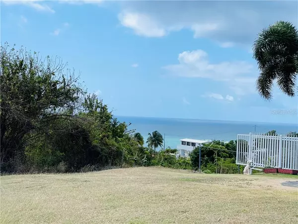 LOTE 7 BO CAMINO NUEVO, Yabucoa, PR 00767