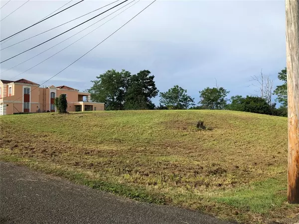 Cabo Rojo, PR 00623,Lote 16 ESTANCIAS DE MONTE GRANDE