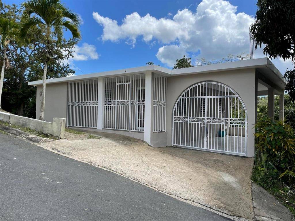 Bo Rincon SECTOR LOMA PILFO, Cayey, PR 00736