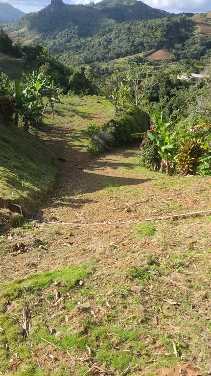 Orocovis, PR 00720,PR 590 BAUTA ABAJO WARD