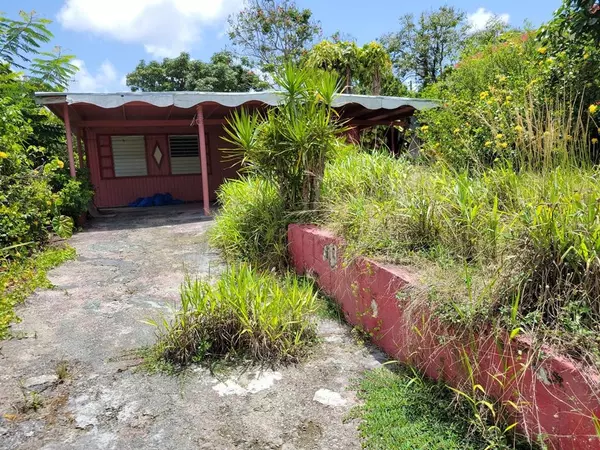 Canovanas, PR 00729,Vargas St. PUEBLO