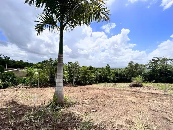 Morovis, PR 00687,Carr 633 Lot 3 HM.KM 5.2 BARRIO BARAHONA