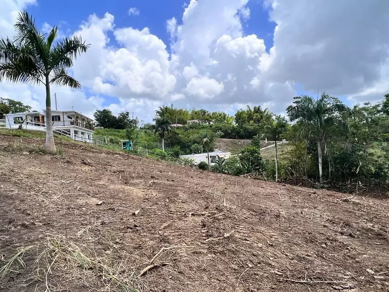 Carr 633 Lot 3 HM.KM 5.2 BARRIO BARAHONA, Morovis, PR 00687
