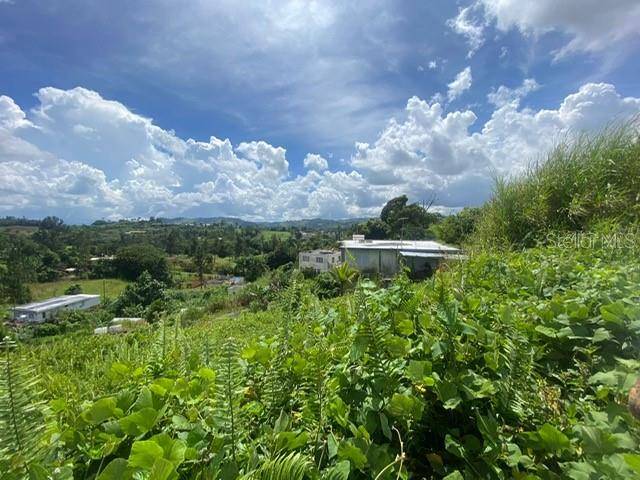 Barranquitas, PR 00794,CARR 152 #D