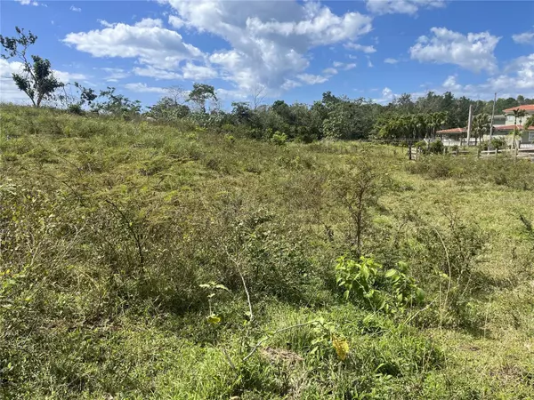 Cabo Rojo, PR 00623,ROAD 308 KM1.0 SEC.MIRADERO