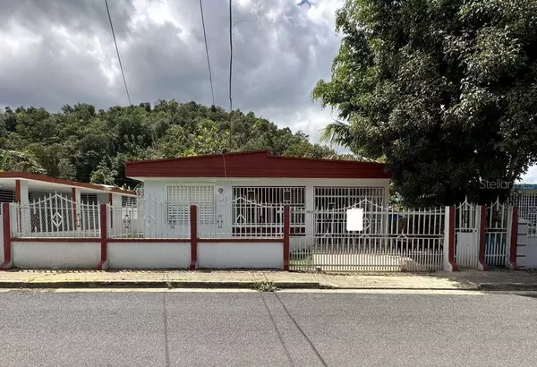 Alturas de Yanes 3 CALLE ALMENDRA #255, Florida, PR 00650