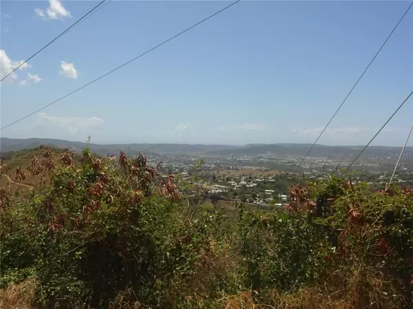 Yauco, PR 00698,Carr 371 Yauco BO COLLORES