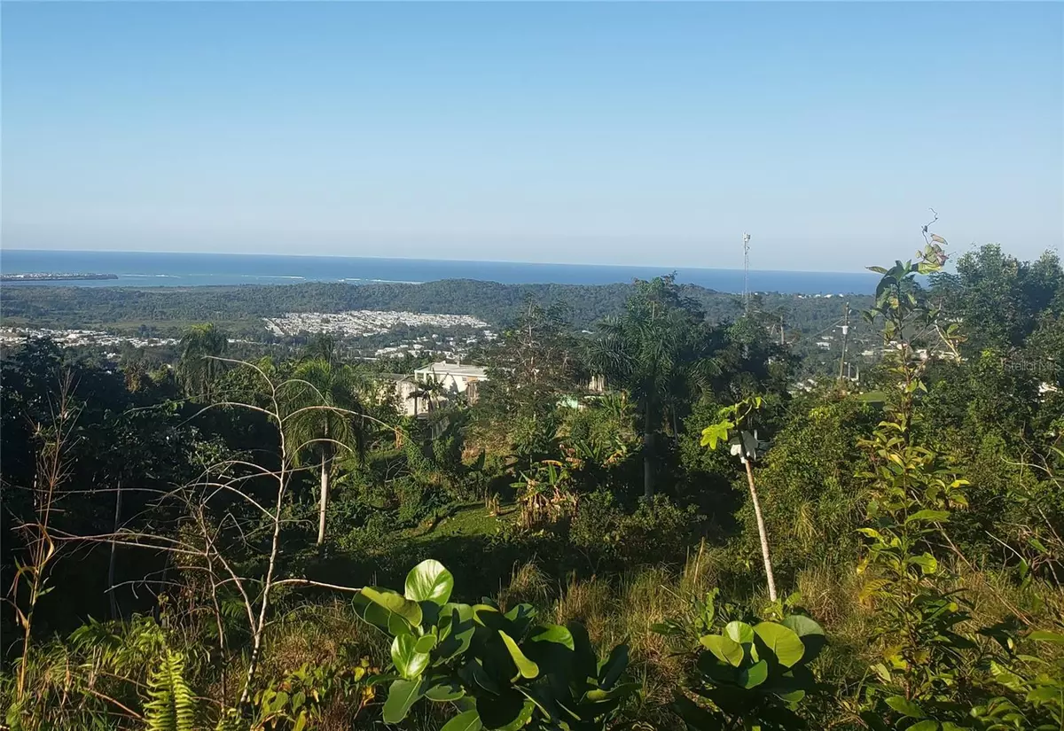 Rio Grande, PR 00745,carr. 966 km 2.3 BO. ZARZAL