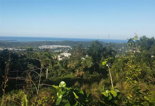 carr. 966 km 2.3 BO. ZARZAL, Rio Grande, PR 00745