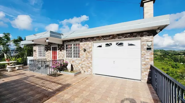 Km 2.9 PR-917 BO. MONTONES II, Las Piedras, PR 00771