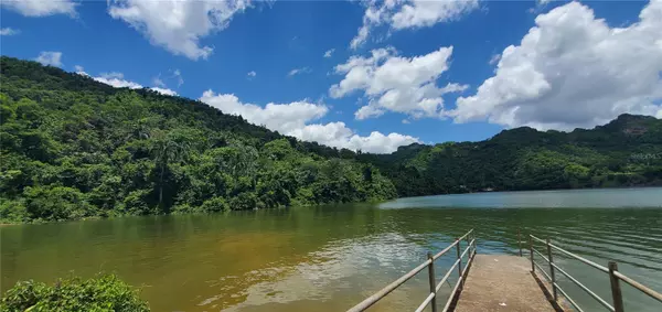 RIO ARRIBA, Arecibo, PR 00612