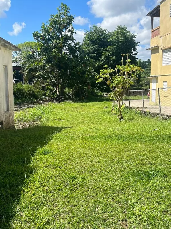 Yabucoa, PR 00767,CALLE MUNOZ RIVERA #109