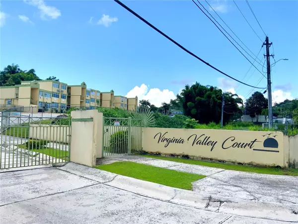 232 VIRGINIA VALLEY COURT #232, Juncos, PR 00777