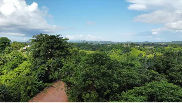 Yabucoa, PR 00767,GUAYABOTAS