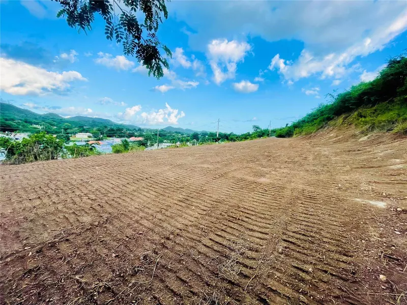 EL YUNQUE URB. QUINTAS DE ALTAMIRA, Juana Diaz, PR 00795