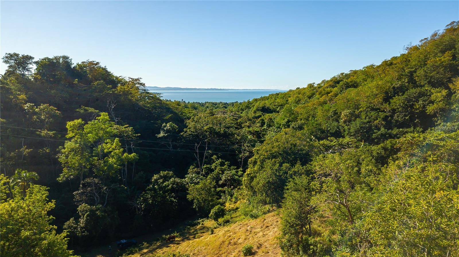 CARR, 115, Anasco, PR 00610