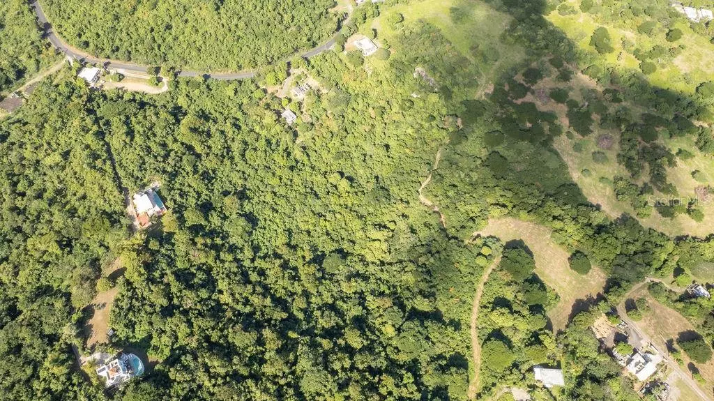 Vieques, PR 00765,Ñ-16 PR-201, SECTOR FLORIDA