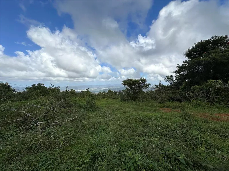 BO BEATRIZ FINCAS MI RECREO 3, CARR 1, Caguas, PR 00725