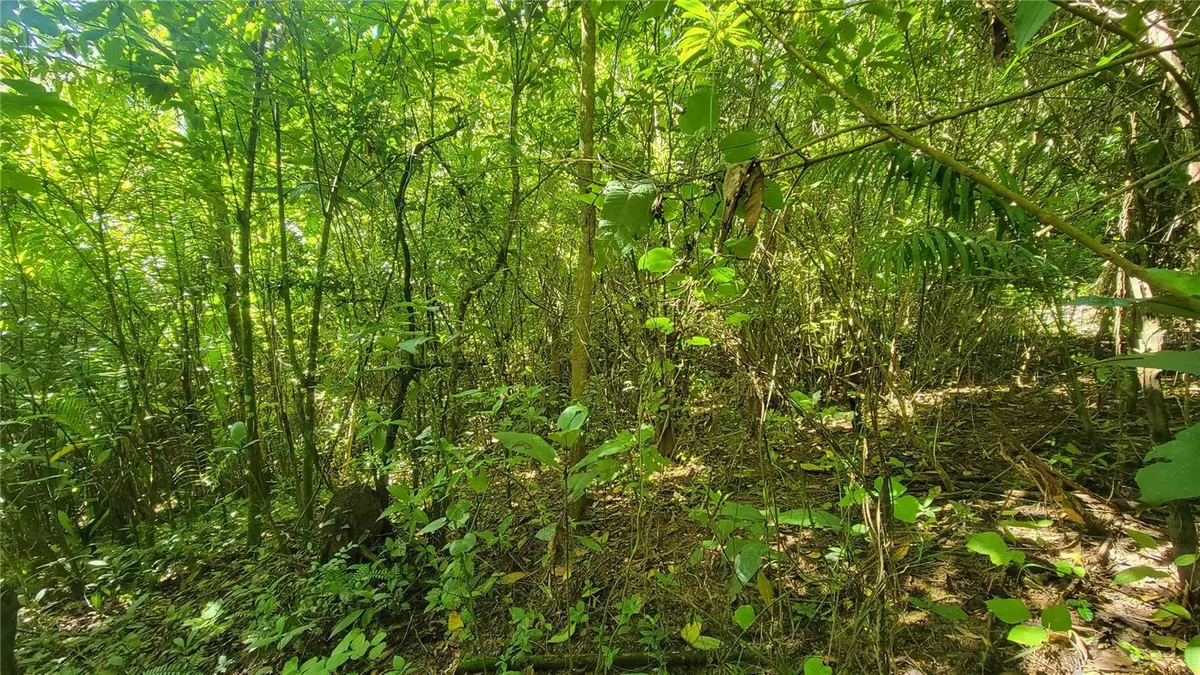 Cidra, PR 00739,PR 734 BARRIO ARENAS, SECTOR MONTICELLO