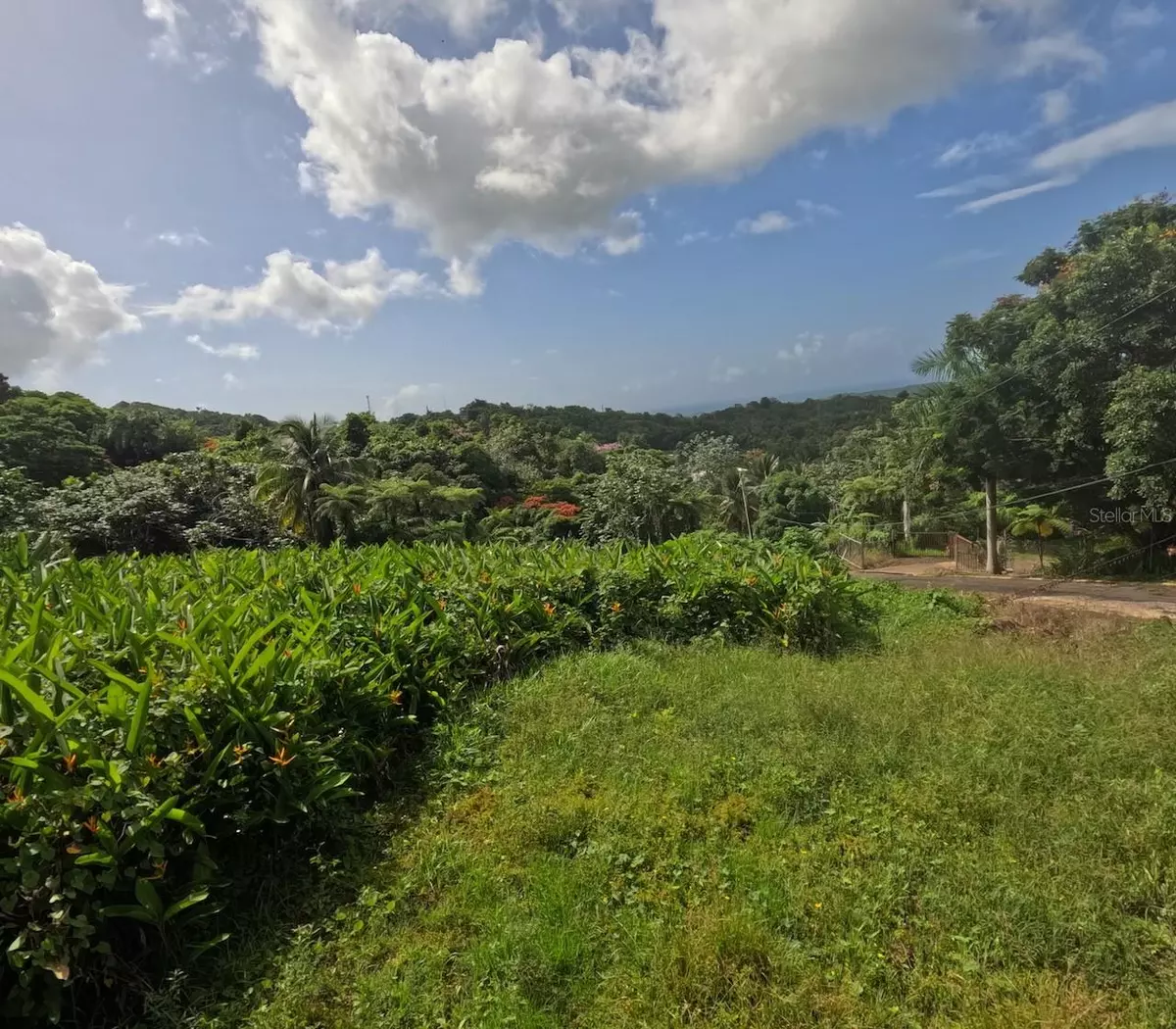 Rio Grande, PR 00745,Lot E PR 966, ZARZAL WARD