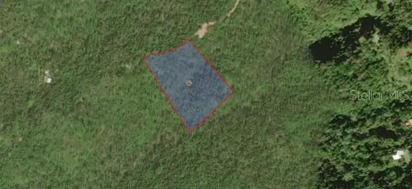 Cayey, PR 00736,JAJOME ALTO, CASILLA DEL GOBERNADOR