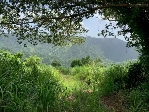 Cayey, PR 00736,JAJOME ALTO, CASILLA DEL GOBERNADOR