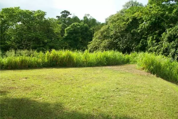 COTTO MABU, Humacao, PR 00791
