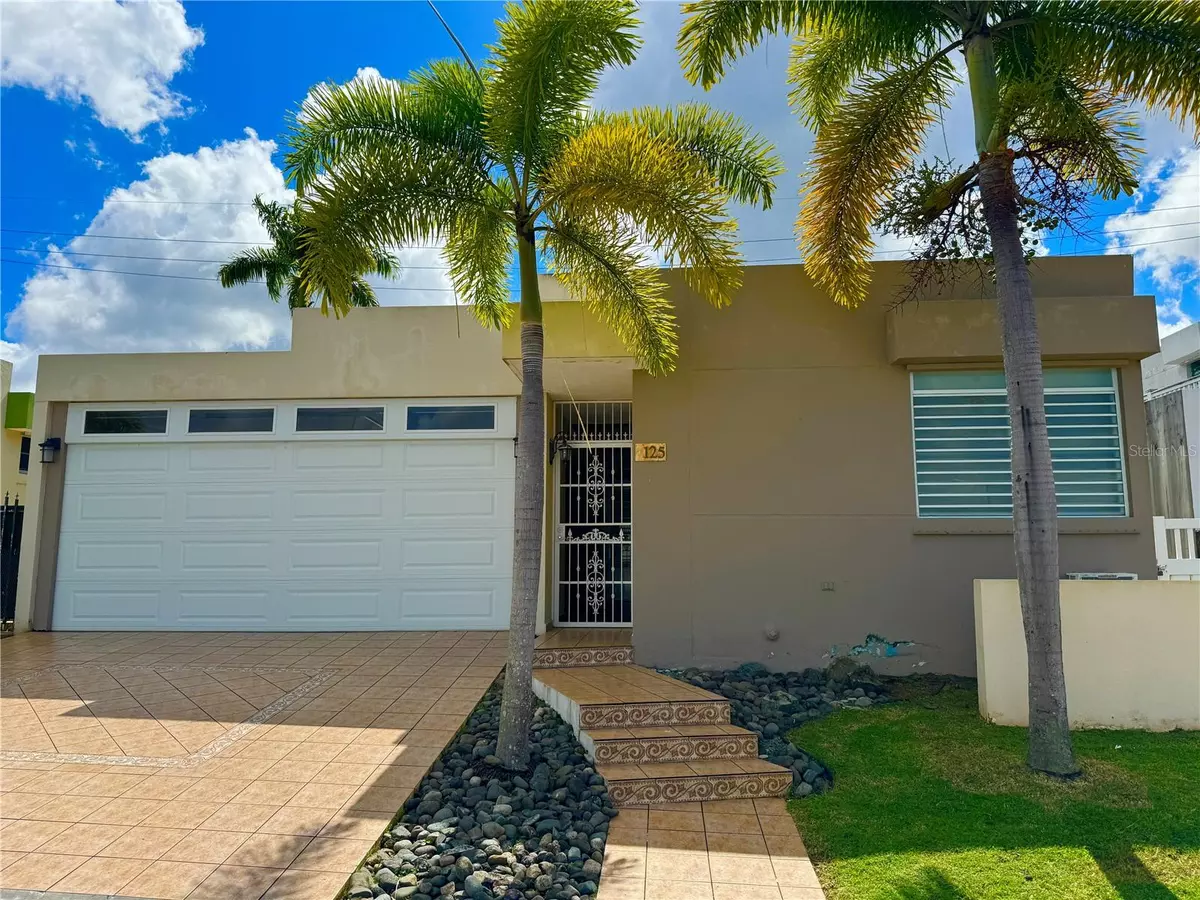 Las Piedras, PR 00771,Paseo de los Artesanos TOMÁS DÍAZ