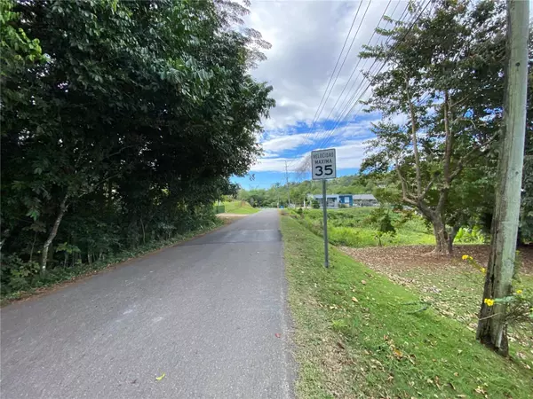 Mayaguez, PR 00680,SR-352 KM 2.4 RIO CANAS ABAJO MAYAGUEZ PR