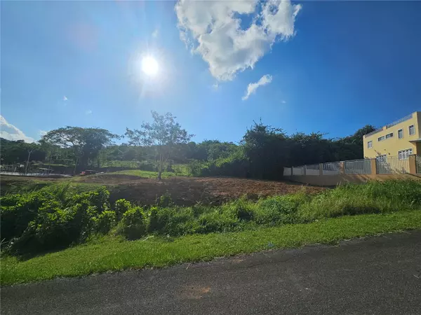 Fajardo, PR 00738,HACIENDA AMPARITO, LOTE C