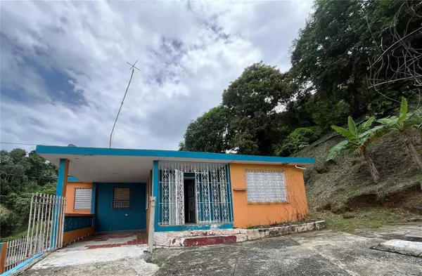 Naguabo, PR 00718,Bo. Rio Blanco CALLE 14