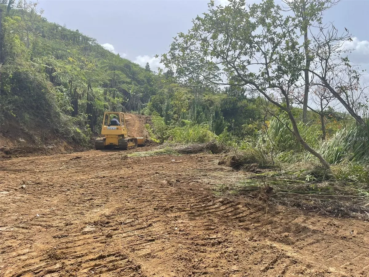 Corozal, PR 00783,KM 2.2 PALMARITO WARD, ROAD 800