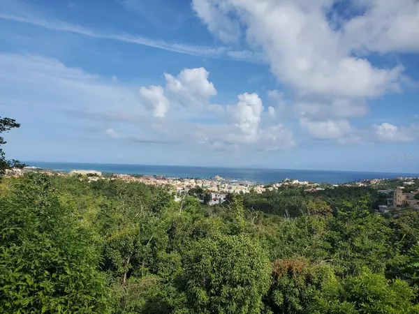 38 HARBOUR LIGHTS ESTATES, PALMAS DEL MAR, Humacao, PR 00791