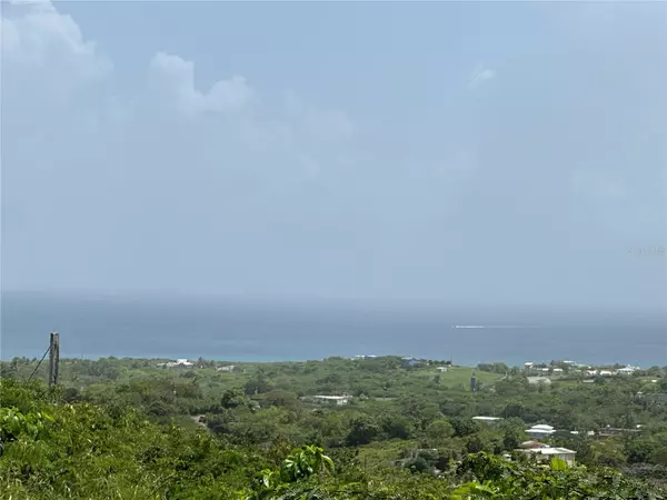 Vieques, PR 00765,COMUNIDAD VILLA BORINQUÉN