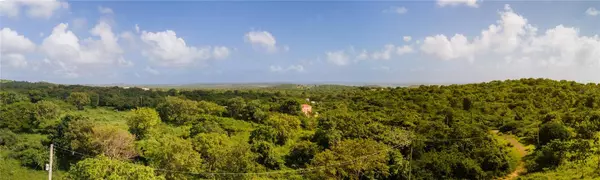 Vieques, PR 00765,1 PR-995