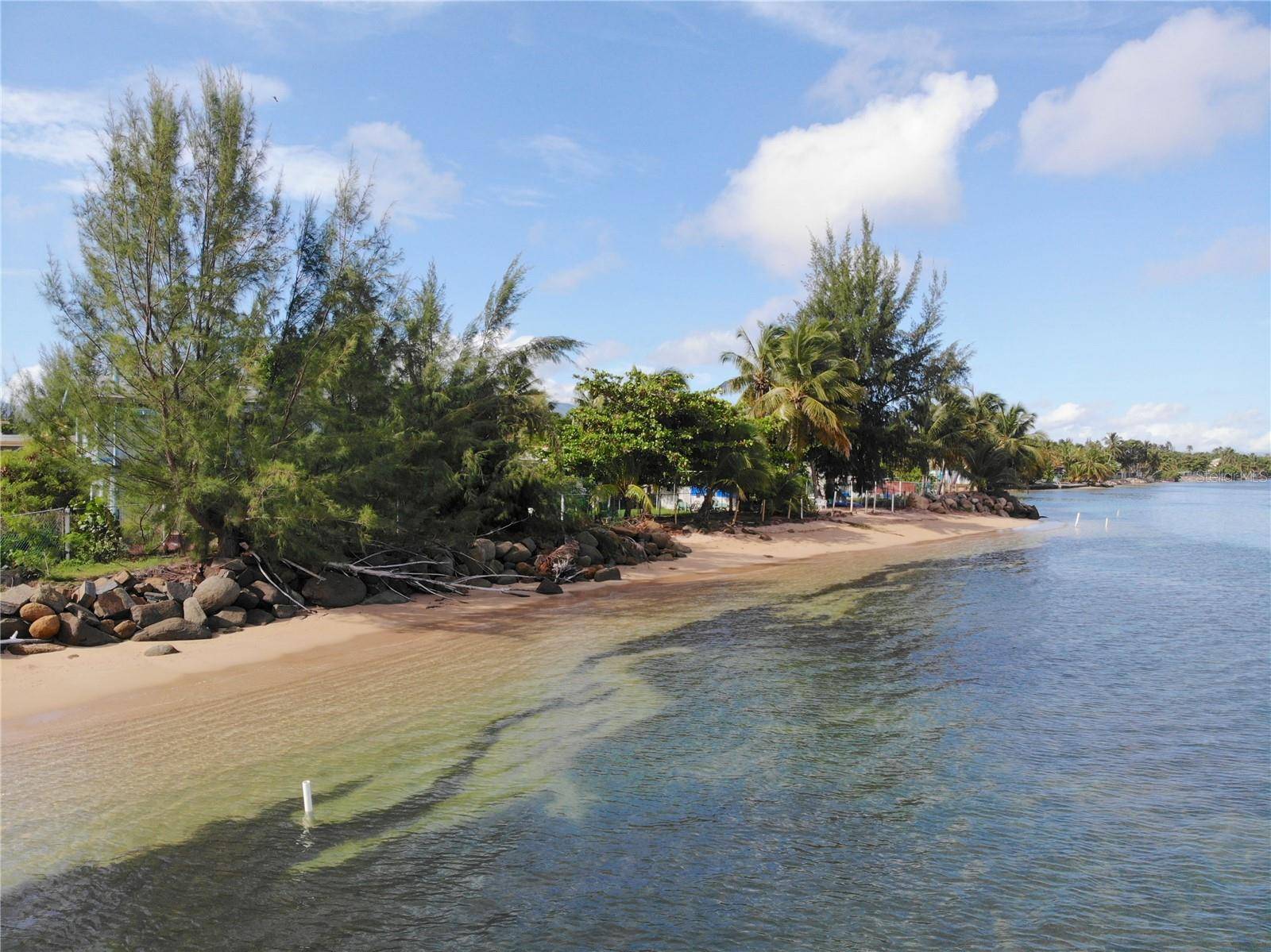 Rio Grande, PR 00745,968 CAMINO LAS PICUAS LOT 19 #19