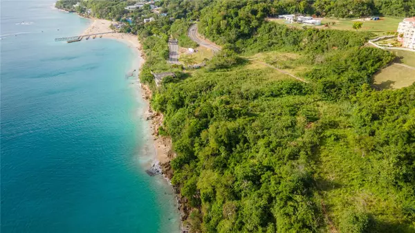 Aguadilla, 00603,BO. BORINQUEN