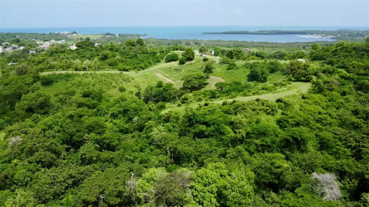 Cabo Rojo, PR 00623,CARR 307