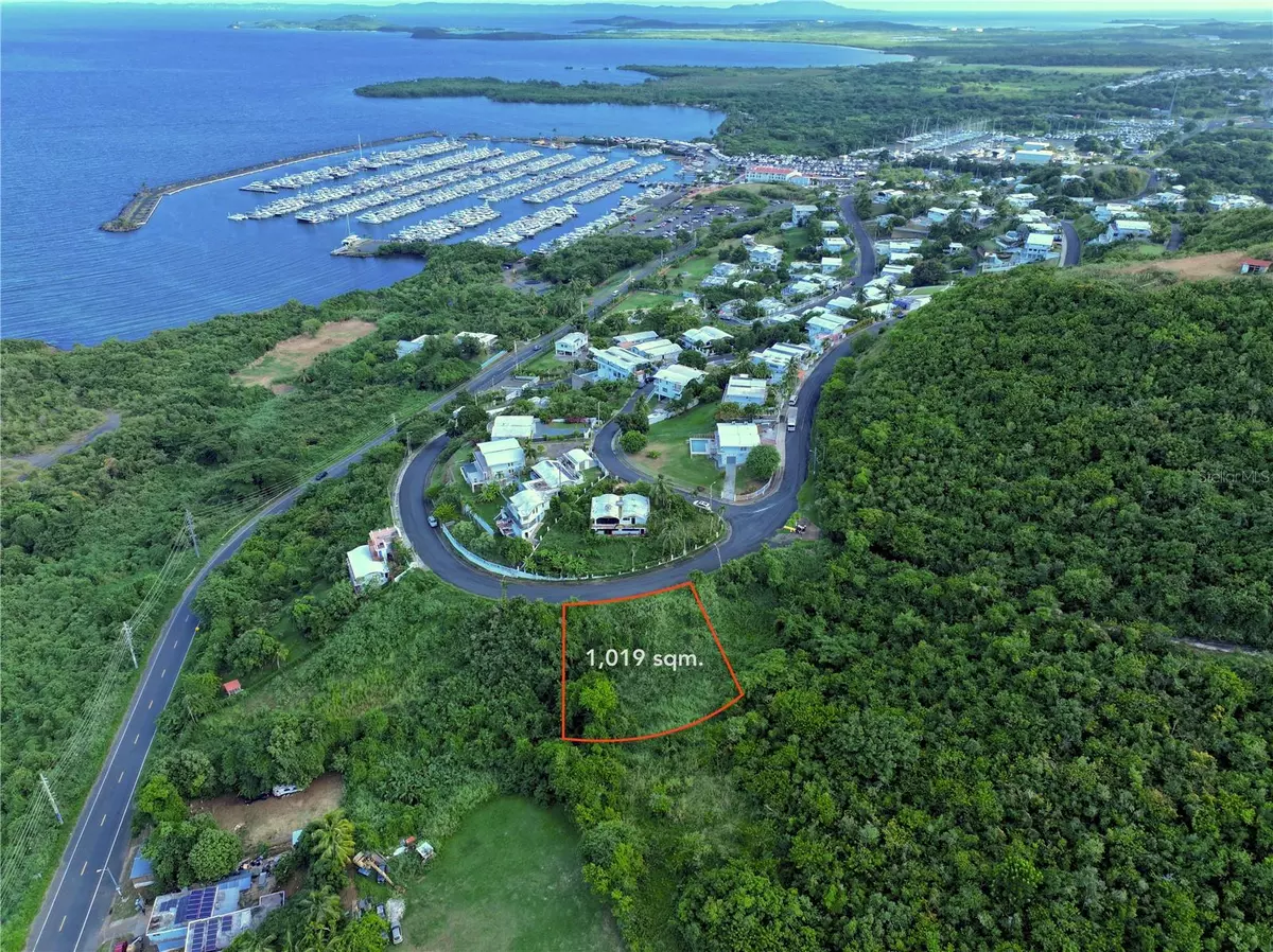 Fajardo, PR 00738,Address not disclosed