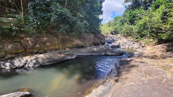 San Sebastian, PR 00685,CARRETERA 497 KM 2.0 INTERIOR