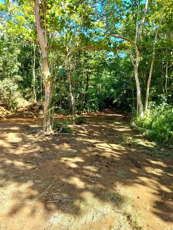 Manati, PR 00674,Bo. Bajuras STATE ROAD PR-667