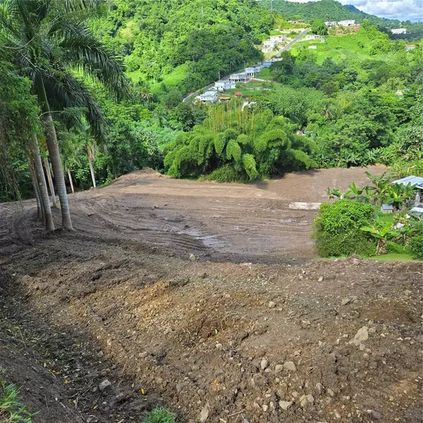 Naranjito, PR 00719