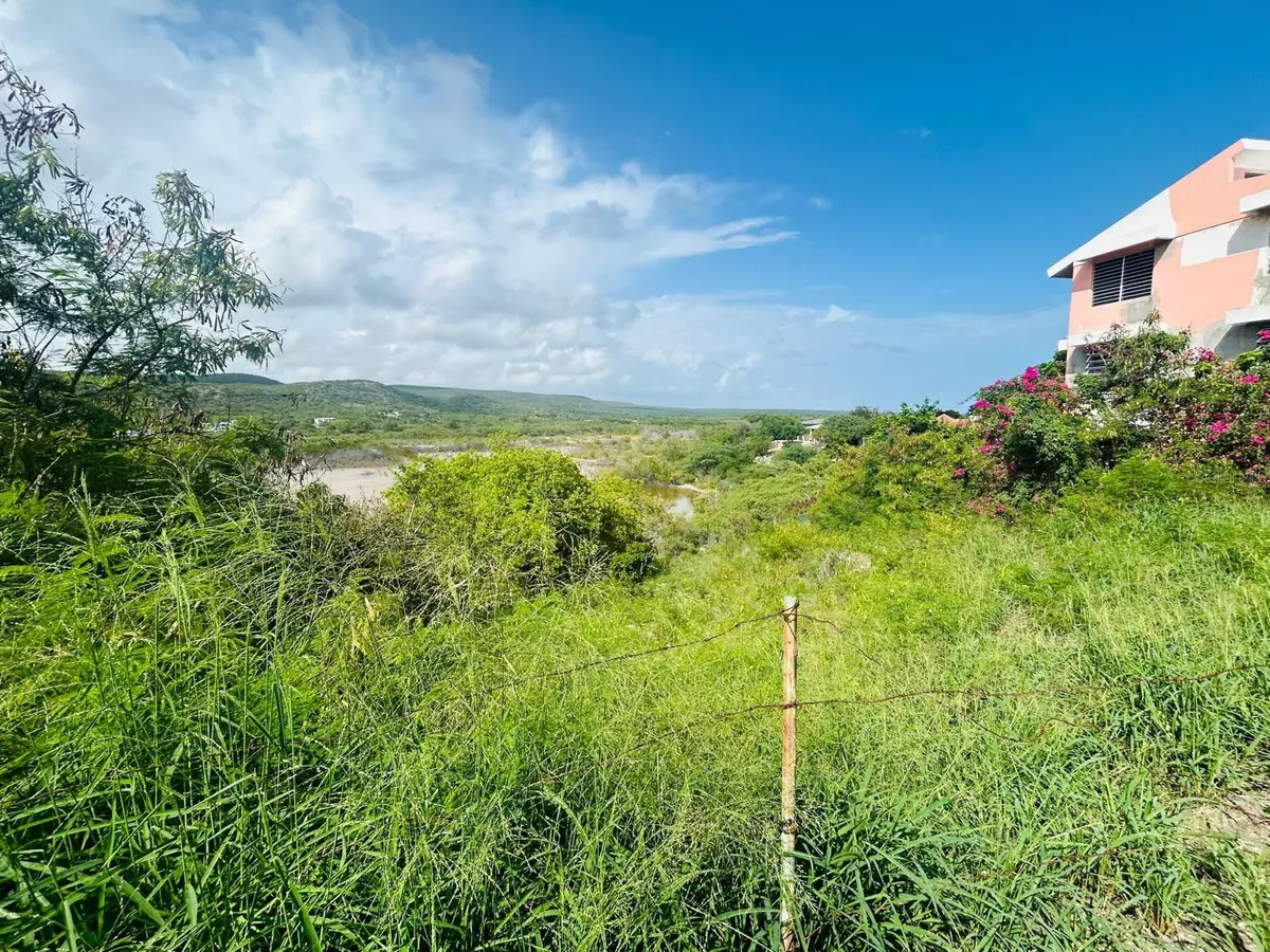 Guanica, PR 00653,BO. CARENERO 39 SEC. SAN JACINTO