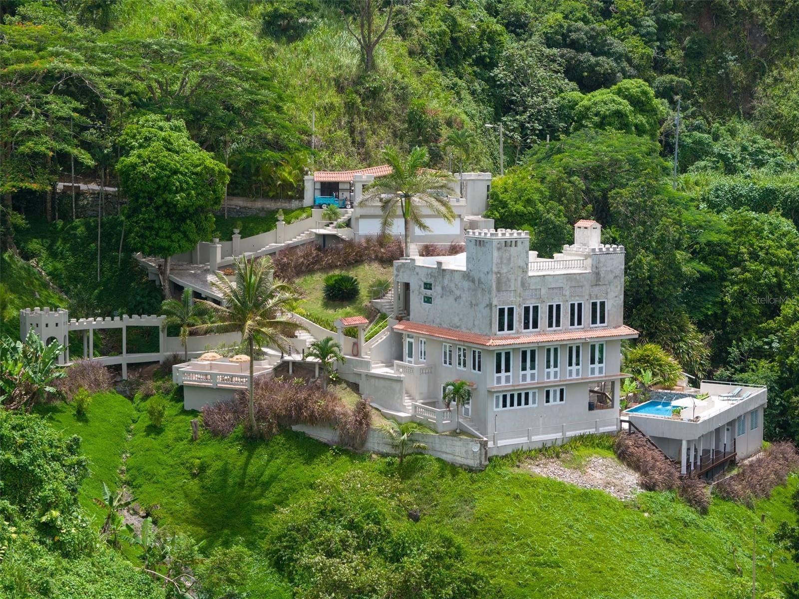 Km. 23.7 PR-156 RD, Comerio, PR 00782