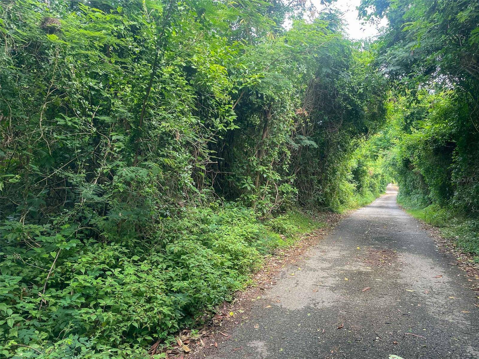 Vieques, PR 00765,30 CALLE ALTA
