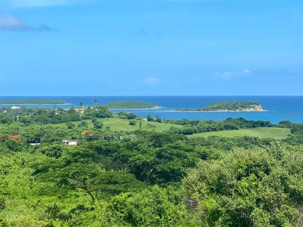 2C HACIENDA PUERTO REAL, Vieques, PR 00765