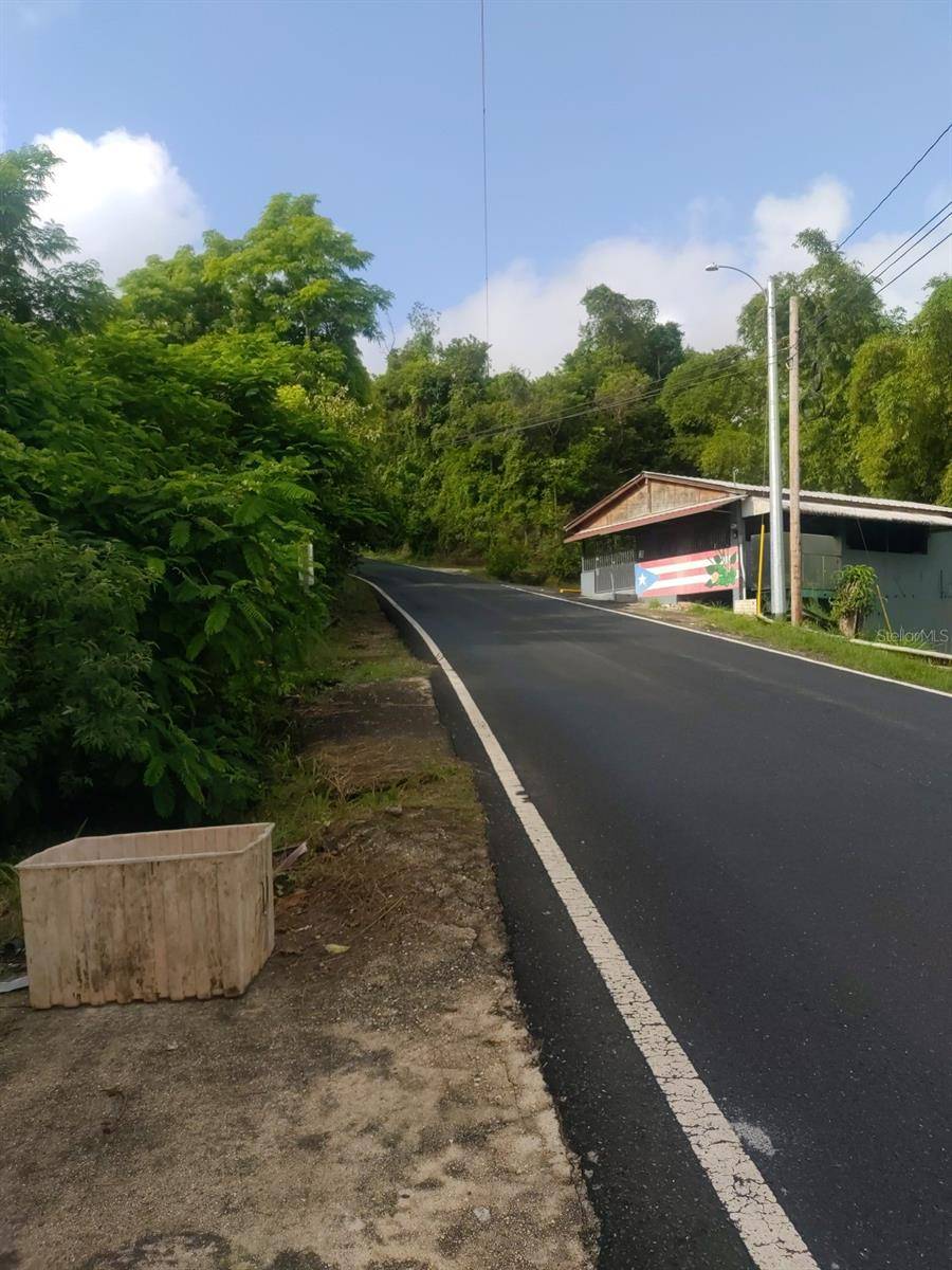 Corozal, PR 00783,CARR 821 KM 1.9