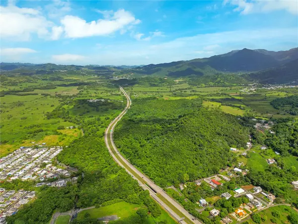 Naguabo, PR 00718,BO MAIZALES CALLE BORGES FINAL