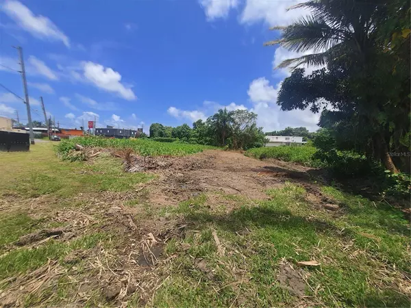 Rio Grande, PR 00745,LUQUILLO GARDENS DEVELOPMENT, LOT #1